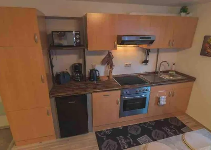 Haus Schwanen Apartment