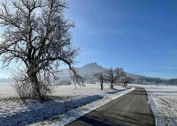 Apartment Haus Schwanen *